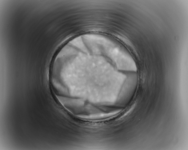 X0000088060790200706081648