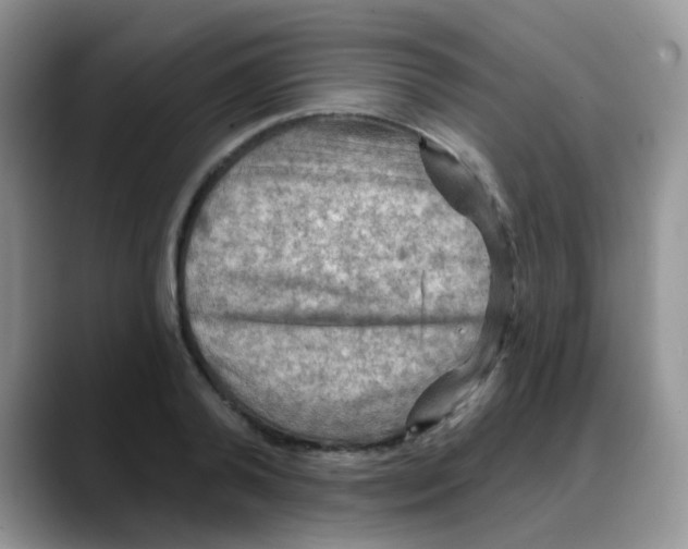X0000088060792200706081648