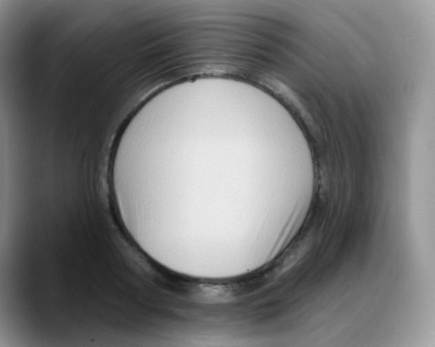 X0000088060794200706081648