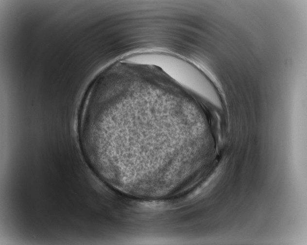 X0000088060797200706081648
