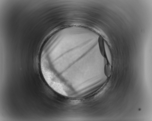 X0000088060798200706081648