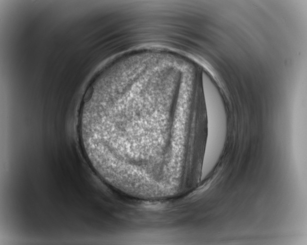 X0000088060799200706081648