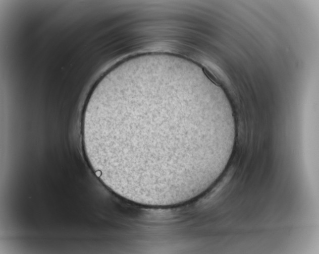 X0000088060800200706081648