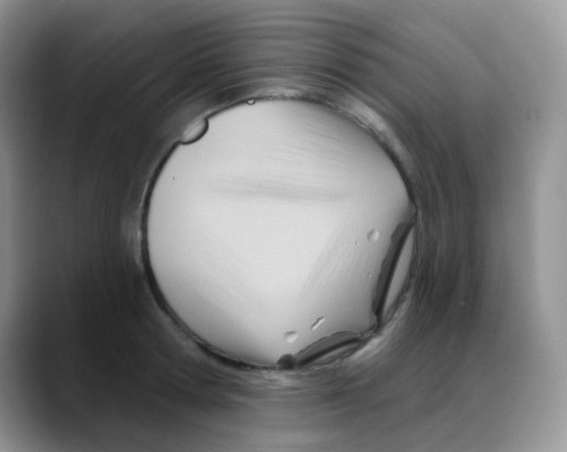 X0000088060802200706081648