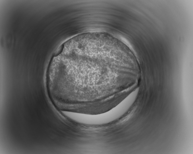 X0000088060803200706081648