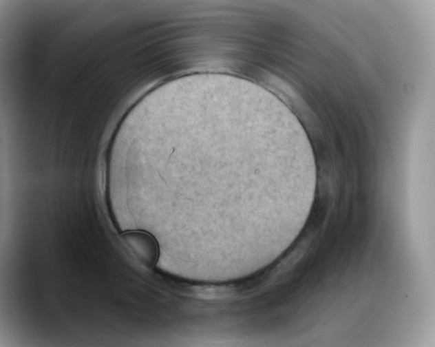 X0000088060804200706081648