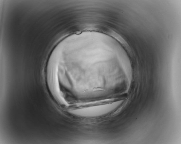 X0000088060806200706081648