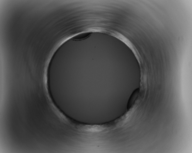 X0000088060811200706081648