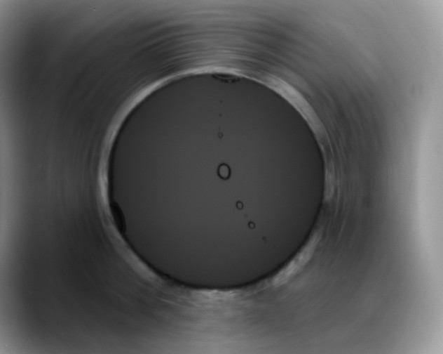 X0000088060812200706081648
