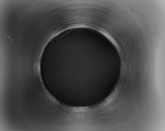 X0000088060813200706081648