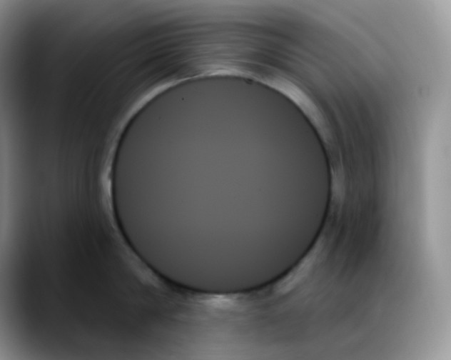 X0000088060814200706081648