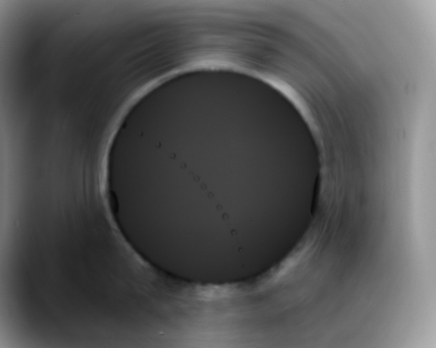 X0000088060815200706081648