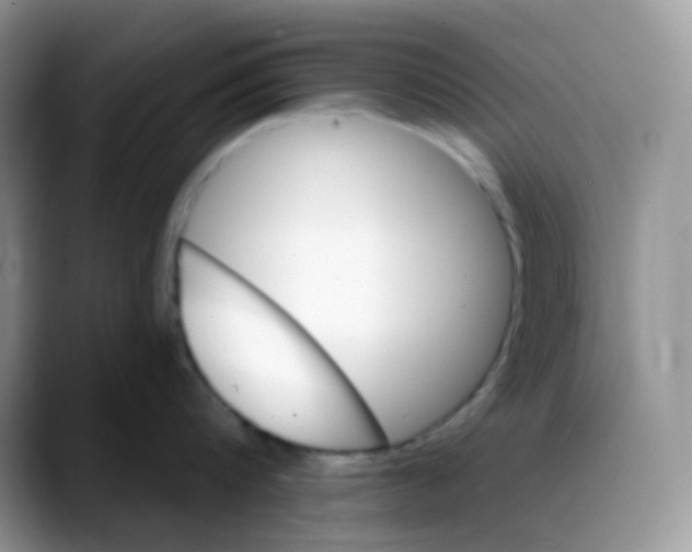 X0000088060816200706081648