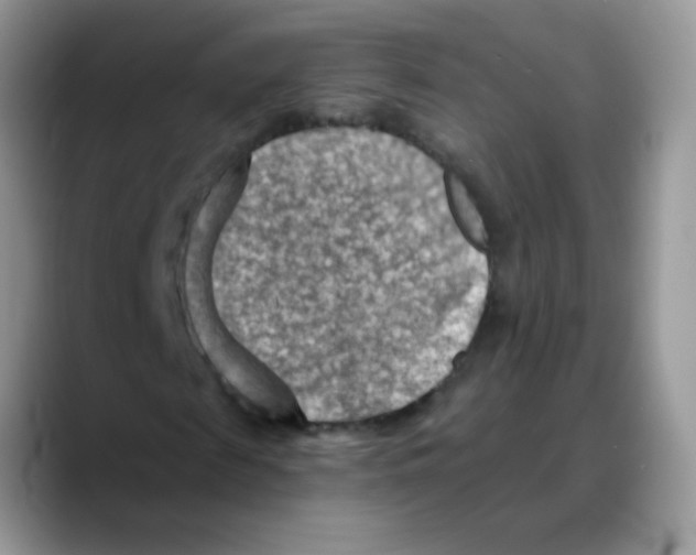 X0000088060817200706081647