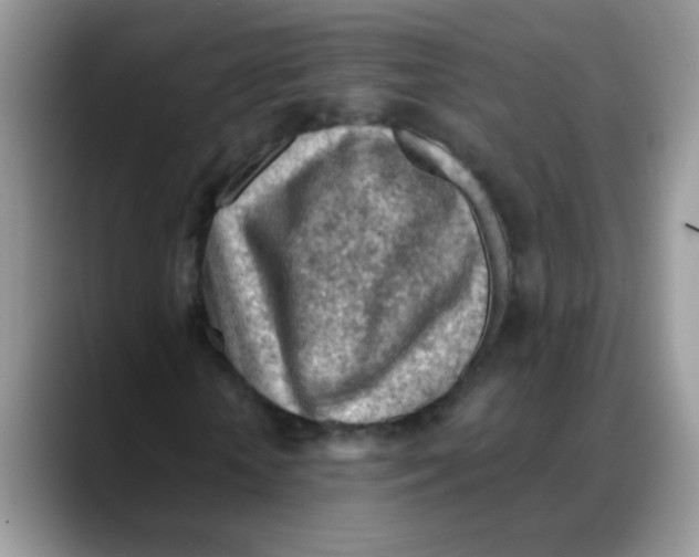X0000088060818200706081647