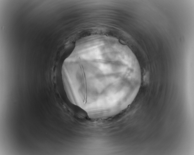 X0000088060819200706081647