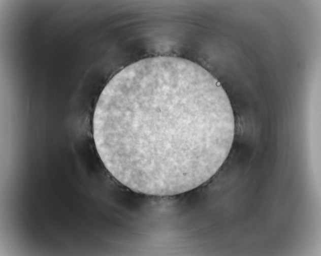 X0000088060820200706081647