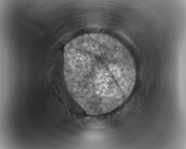 X0000088060821200706081647