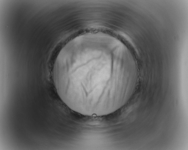 X0000088060823200706081647