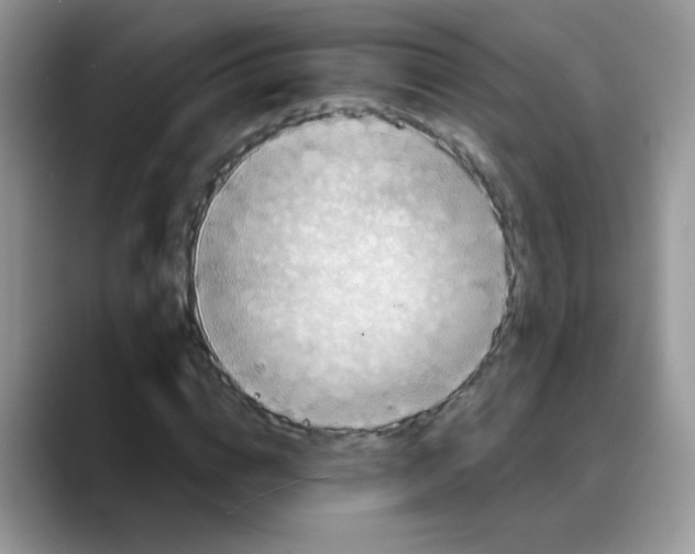 X0000088060824200706081647