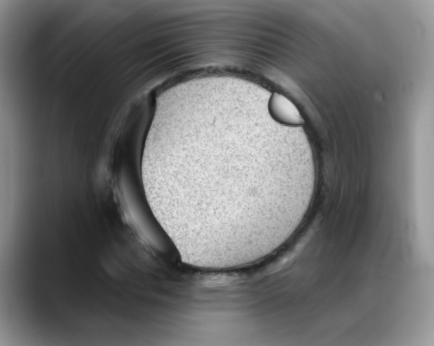 X0000088060826200706081647