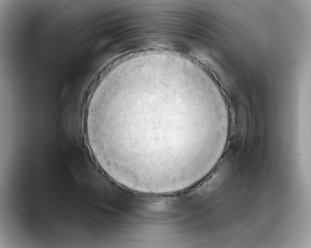 X0000088060828200706081648