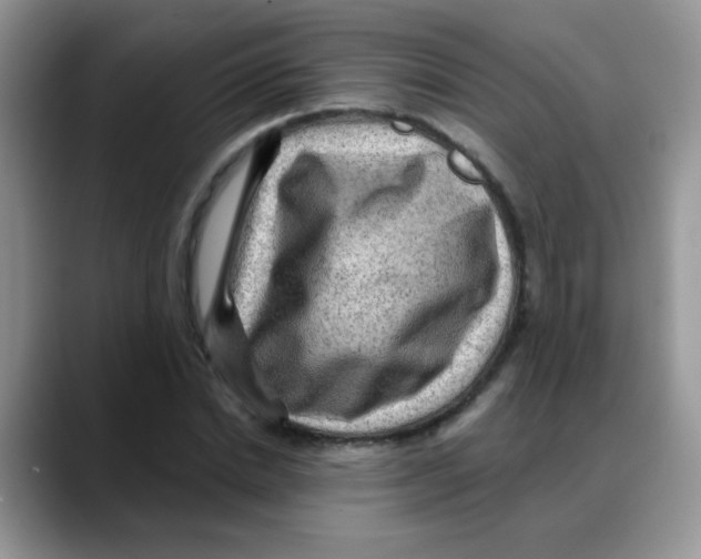 X0000088060830200706081648