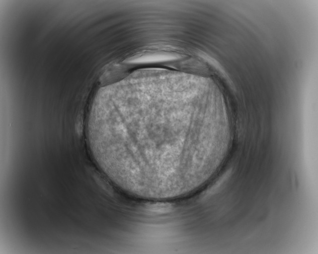 X0000088060833200706081648