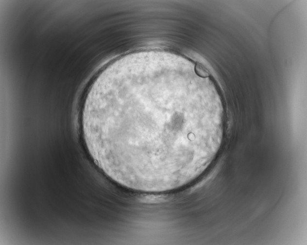 X0000088060835200706081648