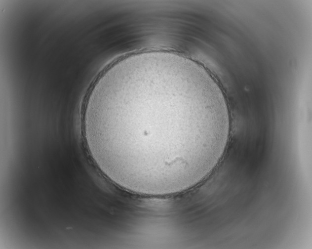 X0000088060836200706081648