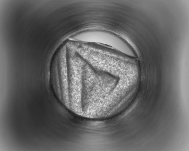 X0000088060837200706081648