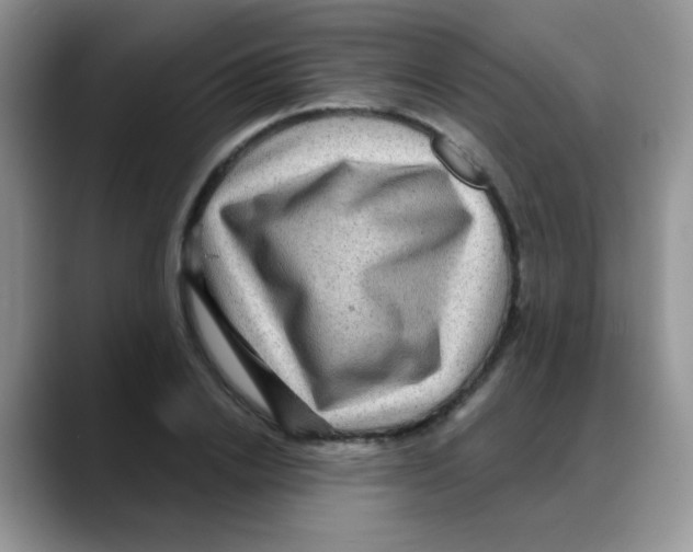 X0000088060838200706081648