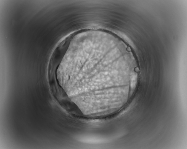 X0000088060839200706081648
