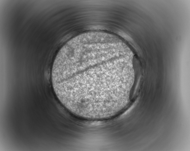 X0000088060841200706081648