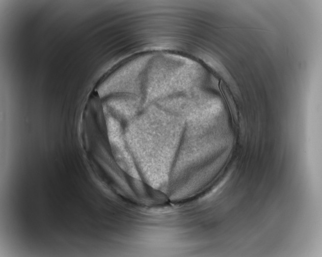 X0000088060842200706081648