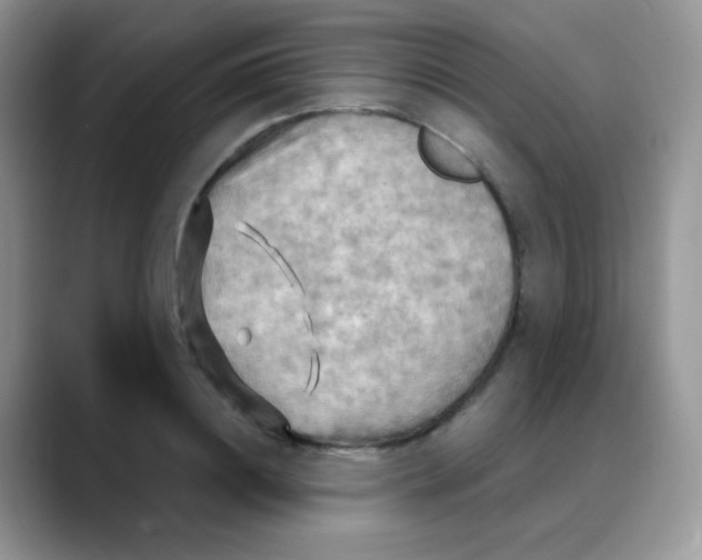 X0000088060844200706081648