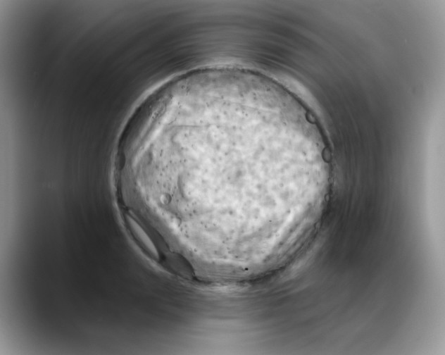 X0000088060847200706081648