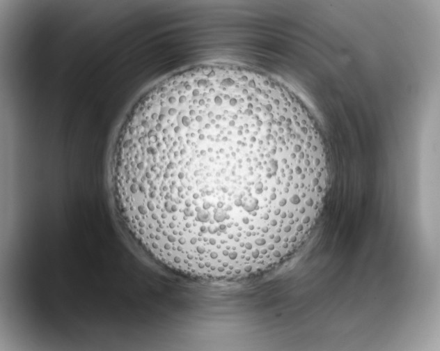 X0000088060848200706081648
