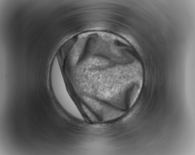 X0000088060850200706081648
