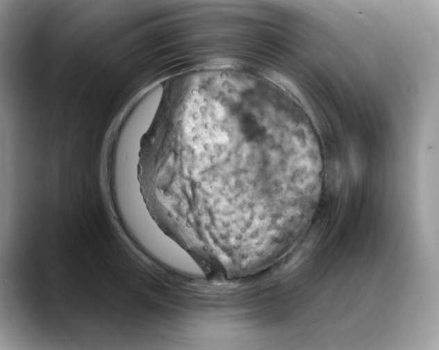X0000088060851200706081648