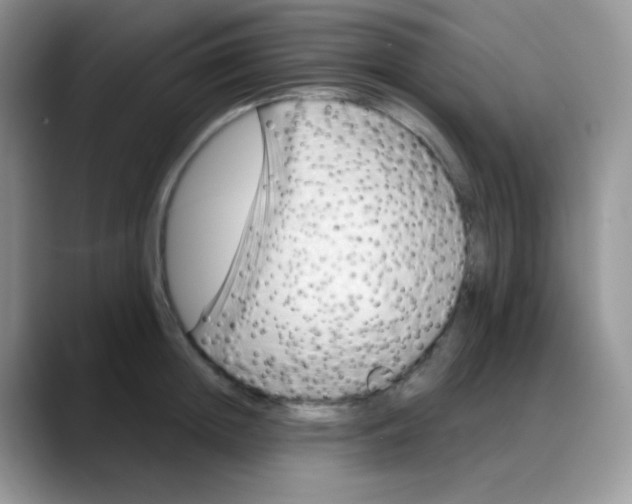 X0000088060852200706081648