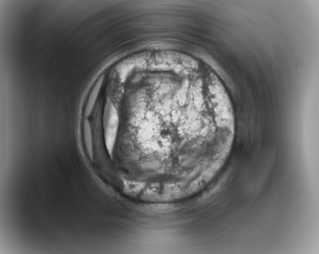 X0000088060853200706081648