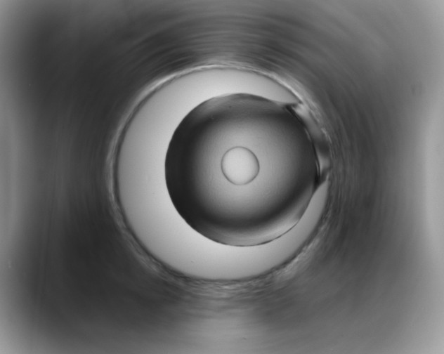 X0000088060854200706081648