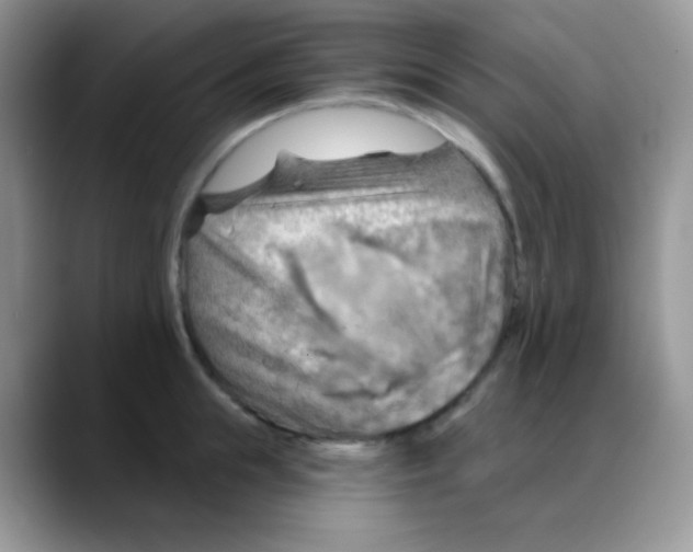 X0000088060855200706081648