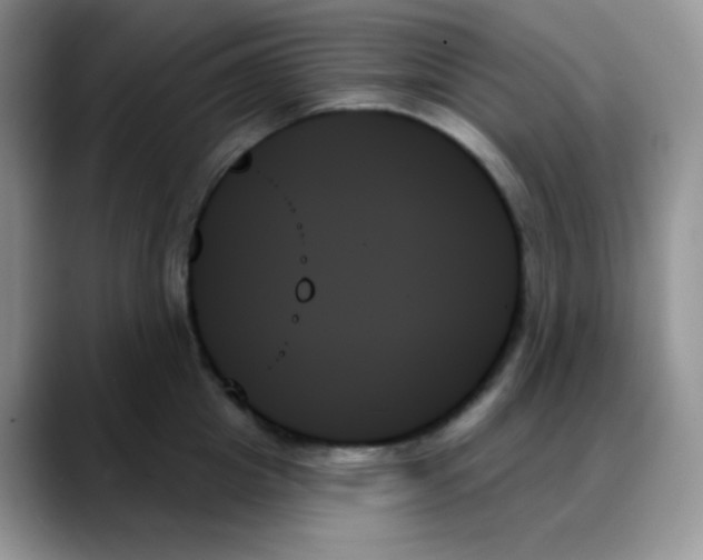 X0000088060857200706081648