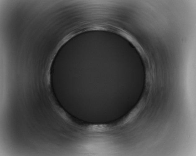 X0000088060858200706081648
