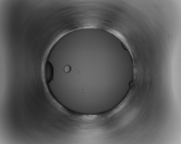 X0000088060859200706081648