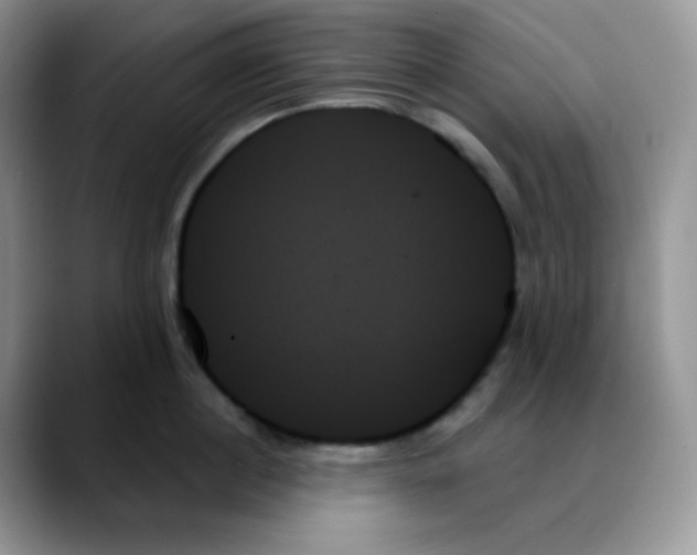 X0000088060860200706081648