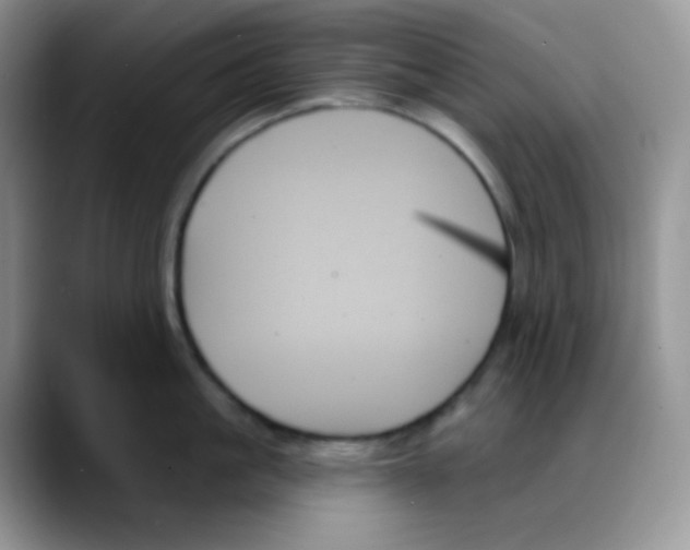 X0000088060861200706081648