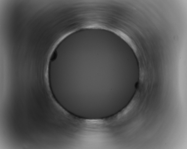 X0000088060863200706081648
